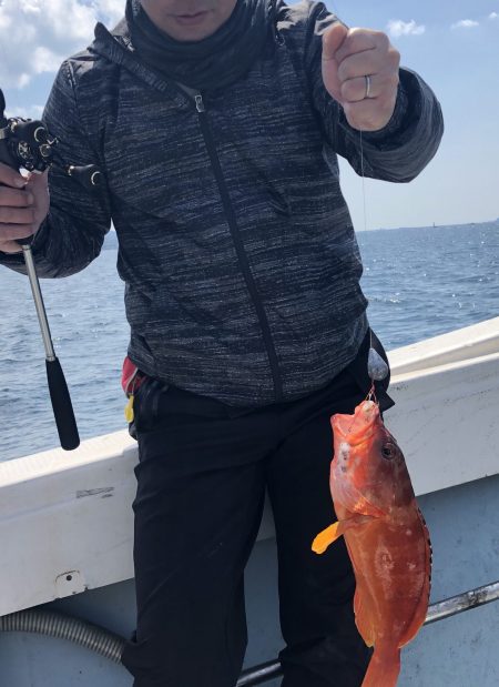 リトルワン 釣果