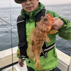 リトルワン 釣果