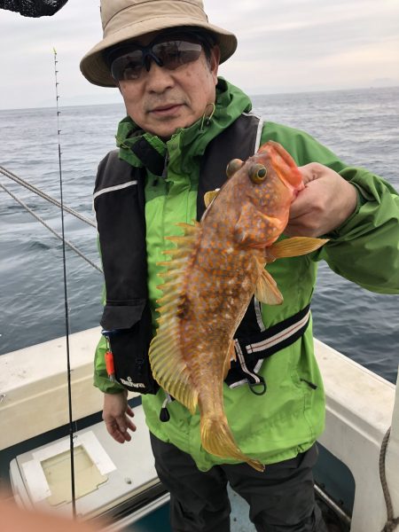 リトルワン 釣果