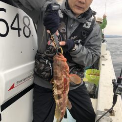 リトルワン 釣果