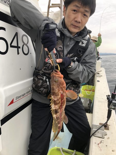 リトルワン 釣果