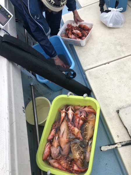 リトルワン 釣果