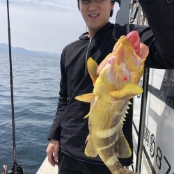 リトルワン 釣果