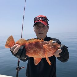 リトルワン 釣果