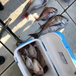 リトルワン 釣果