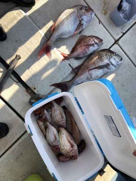 リトルワン 釣果