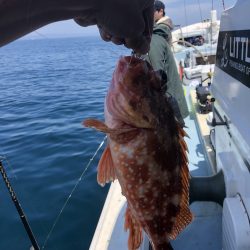 リトルワン 釣果