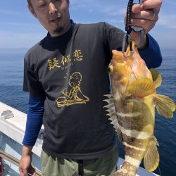 リトルワン 釣果