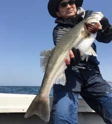 シーモンキー 釣果