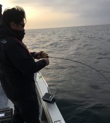 シーモンキー 釣果