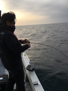 シーモンキー 釣果