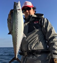 シーモンキー 釣果