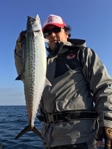 シーモンキー 釣果