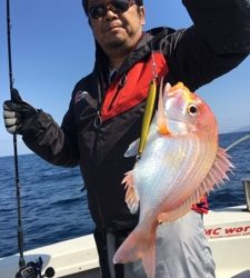 シーモンキー 釣果