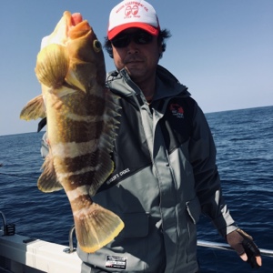 シーモンキー 釣果