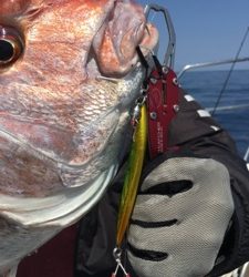 シーモンキー 釣果