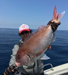 シーモンキー 釣果