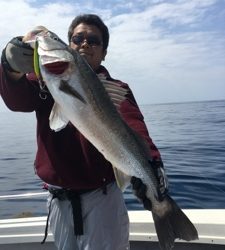 シーモンキー 釣果