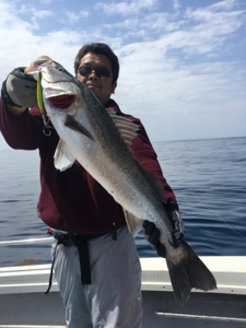 シーモンキー 釣果