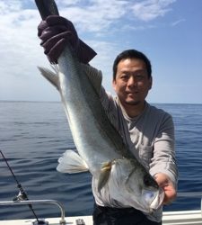 シーモンキー 釣果