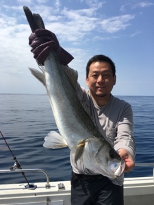 シーモンキー 釣果