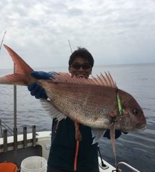 シーモンキー 釣果