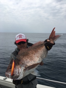 シーモンキー 釣果