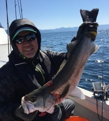 シーモンキー 釣果