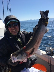 シーモンキー 釣果