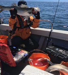 シーモンキー 釣果