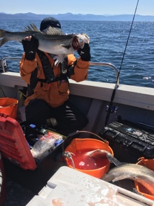 シーモンキー 釣果