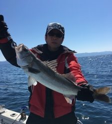 シーモンキー 釣果