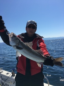 シーモンキー 釣果