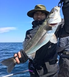 シーモンキー 釣果