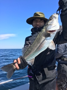 シーモンキー 釣果