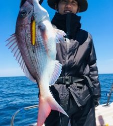 シーモンキー 釣果