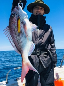 シーモンキー 釣果