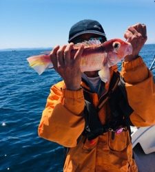シーモンキー 釣果
