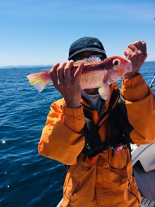 シーモンキー 釣果