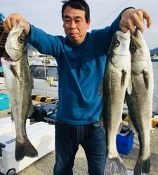 シーモンキー 釣果