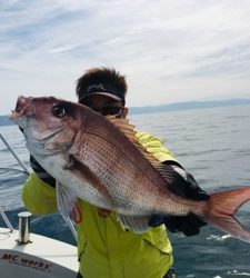 シーモンキー 釣果