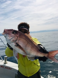 シーモンキー 釣果