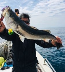 シーモンキー 釣果