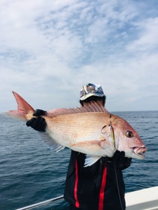 シーモンキー 釣果