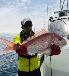 シーモンキー 釣果