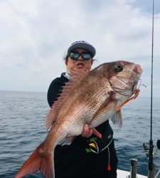 シーモンキー 釣果