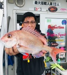 シーモンキー 釣果