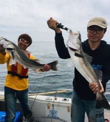 シーモンキー 釣果