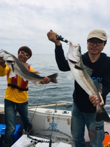 シーモンキー 釣果