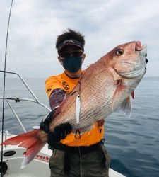 シーモンキー 釣果